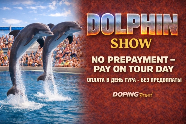 Delfinshow & Schwimmen mit Delfinen in Kemer – Familienspaß